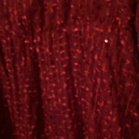 Elegant Embroidered Sequined Red Dress with Ruffle Hem - Picture 7 of 7